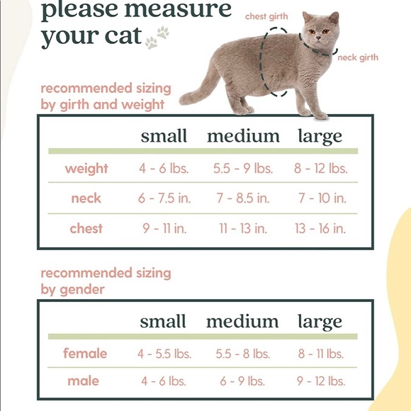 Romp Cat Harness, Collar & Leash Set. - Picture 5 of 5